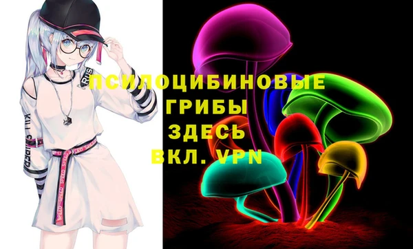 альфа пвп Елизово